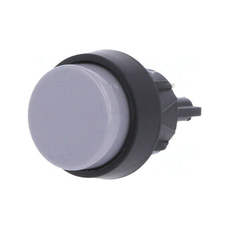 5000.0101 Switch: push-button; Pos: 2; SPST-NO; 2A/250VAC; 4A/250VAC; IP40