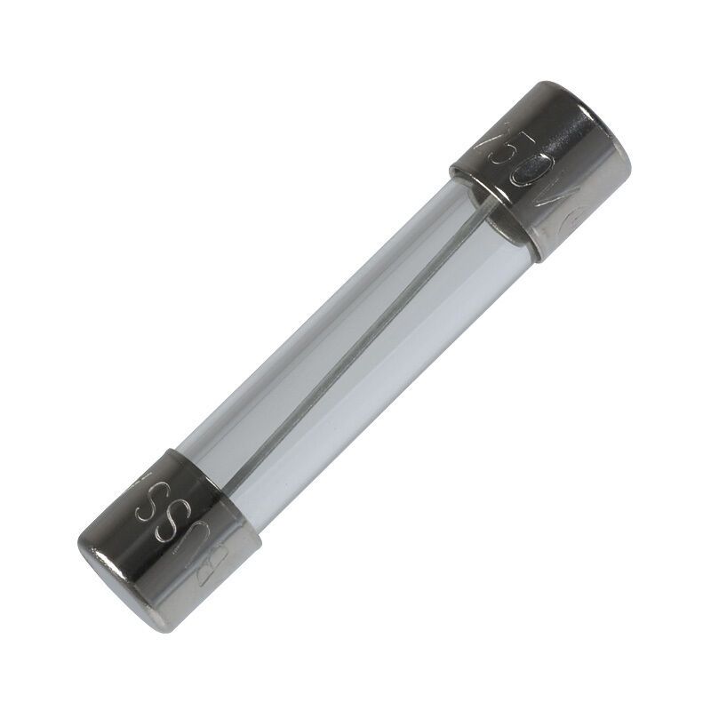 (2PCS) FUSE 200MA 250V LARGE GLASS FUSE (LOT OF 2)