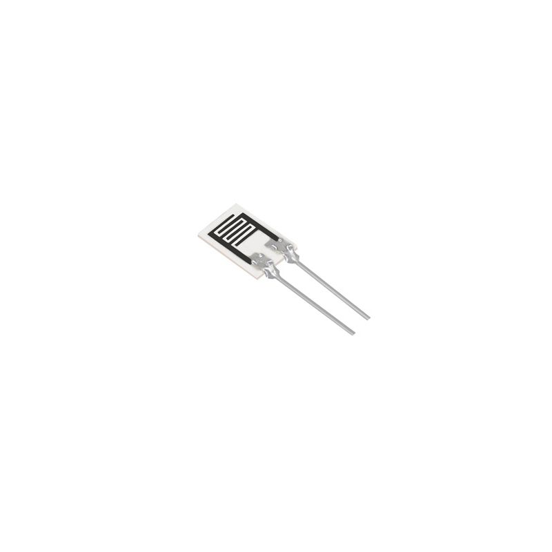 HR202L AOSONG 2PIN HUMIDITY SENSOR (Without Shell)