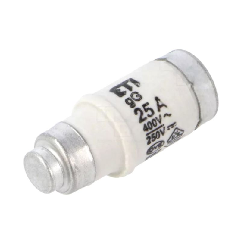 DO2-25 gG/gL Industrial Fuse